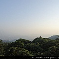 陽明山7