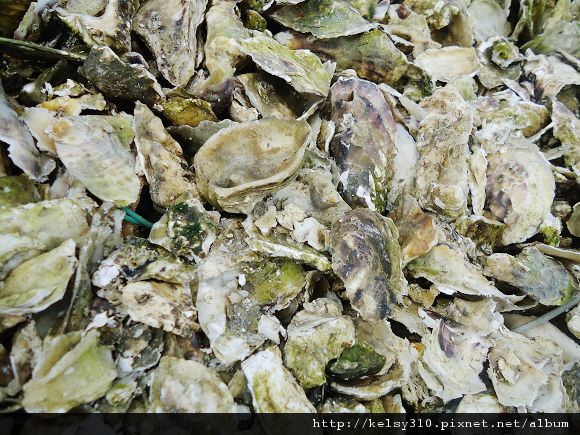 蚵殼1