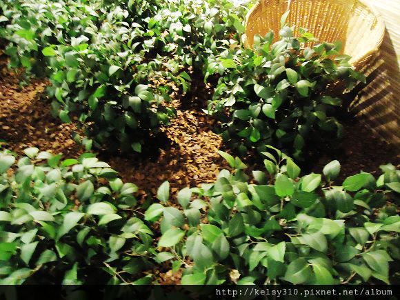 客家文化主題公園21