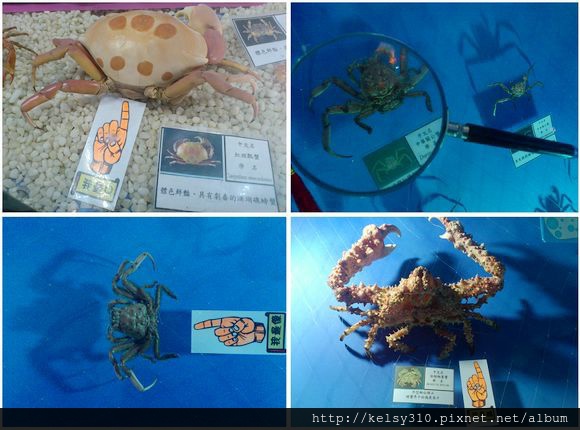 螃16.jpg