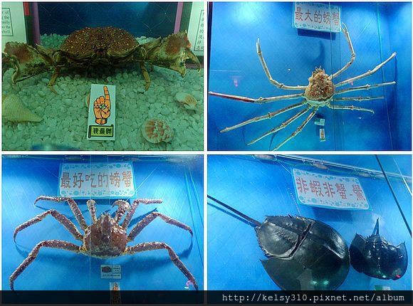 螃17.jpg