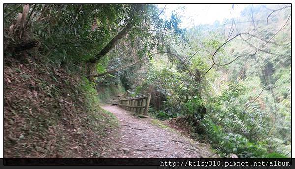 棲蘭35.jpg