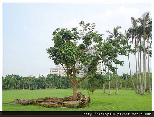 羅東公園12.jpg