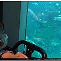 海生館1.jpg