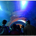 海生館3.jpg