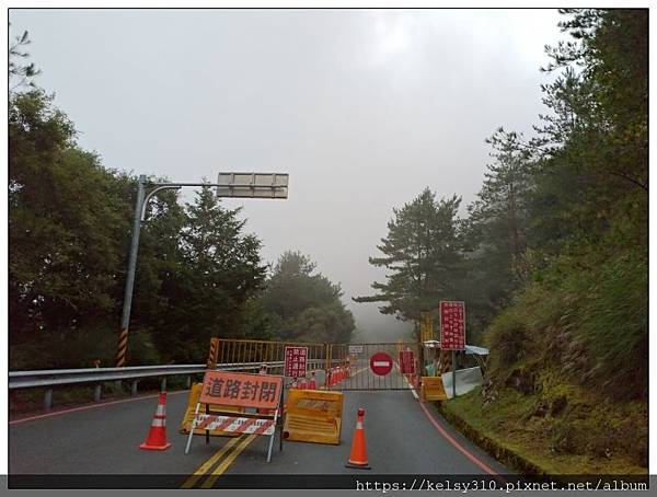 南投 新中橫 塔塔加遊客中心 夫妻樹 全國最高的遊客中心 真心部落 痞客邦