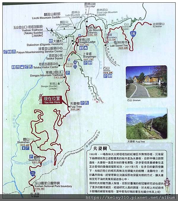 南投 新中橫 塔塔加遊客中心 夫妻樹 全國最高的遊客中心 真心部落 痞客邦