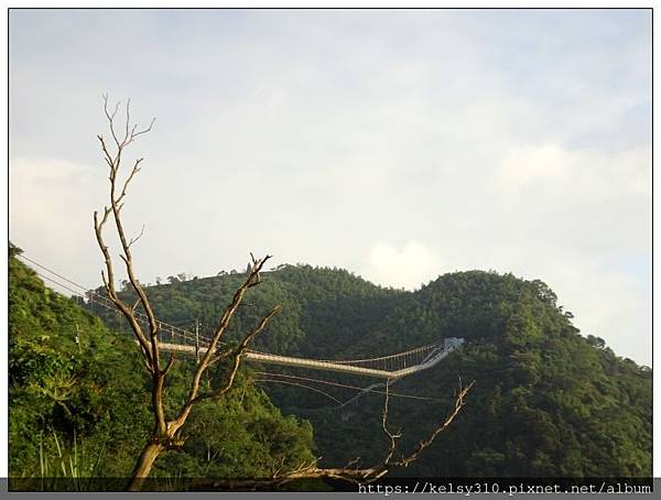 太平雲梯23.jpg