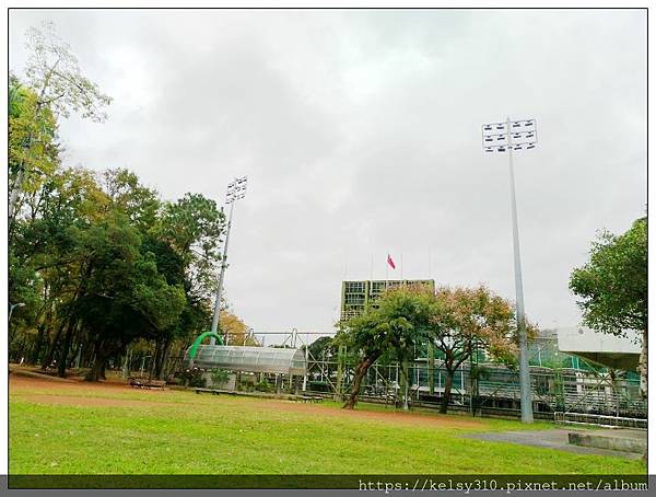 青年公園6.jpg
