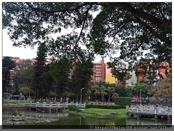 青年公園38.jpg