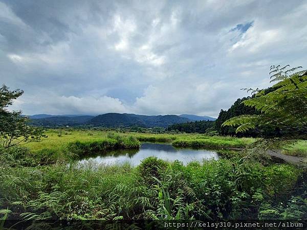 雙連埤19.jpg