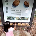 關渡公園8.jpg