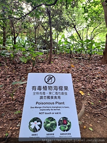 關渡公園11.jpg