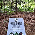 關渡公園11.jpg