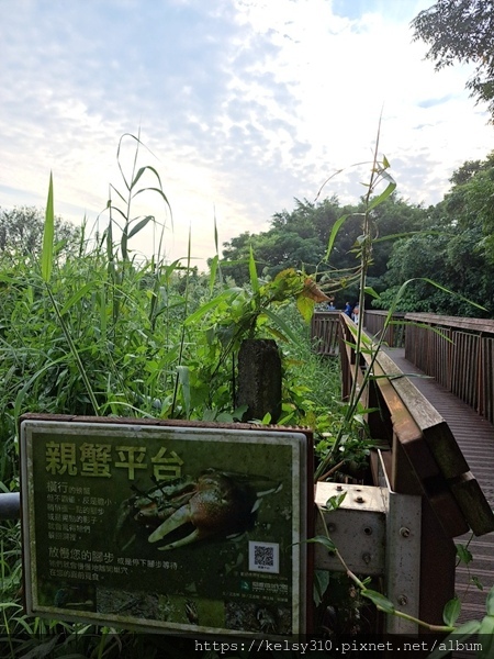 關渡公園53.jpg