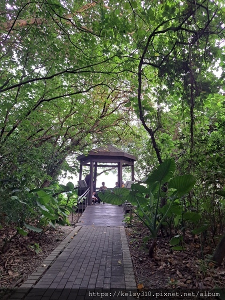 關渡公園59.jpg