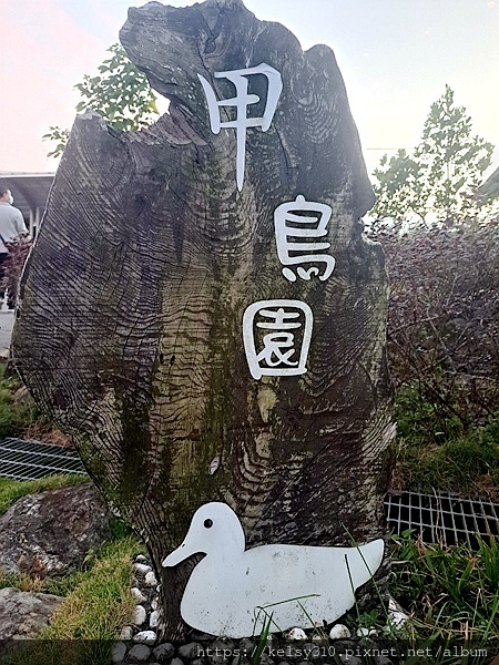 甲鳥園8.jpg