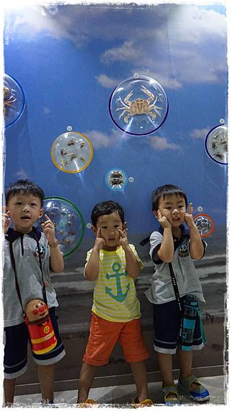Baby3可愛小小螃蟹 (2)
