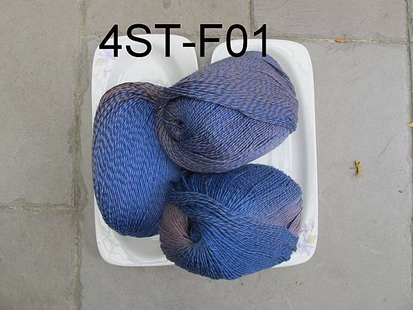 F01 F01