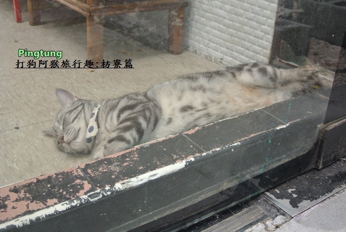 打狗阿猴旅行趣61.JPG