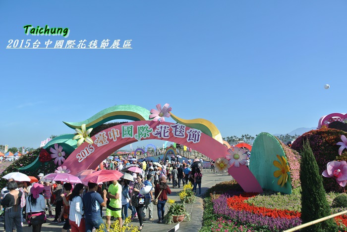 台中新社花海46 台中新社花海46