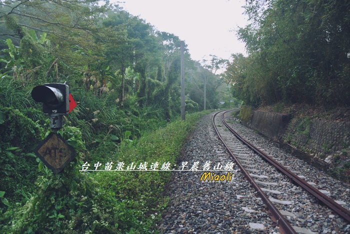 台中苗栗山城旅行83 台中苗栗山城旅行83