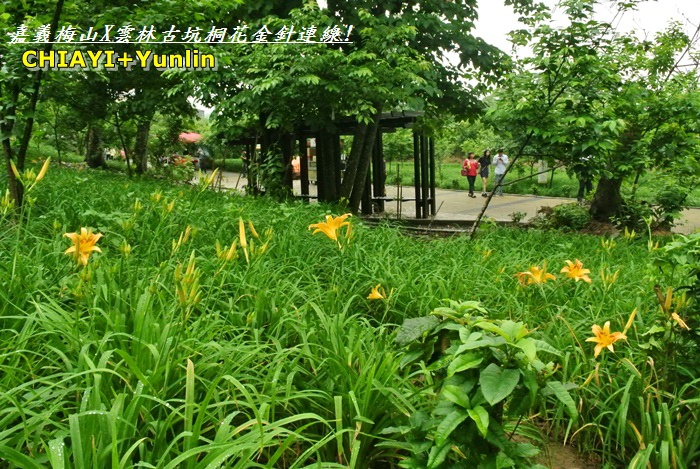 嘉義梅山+雲林古坑連線8.JPG