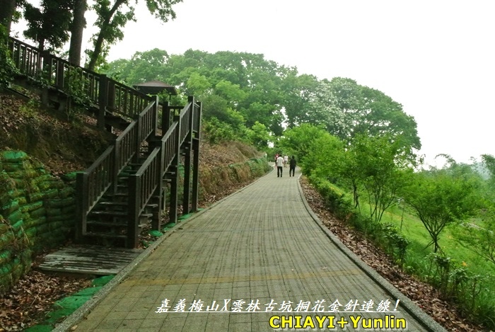 嘉義梅山+雲林古坑連線12