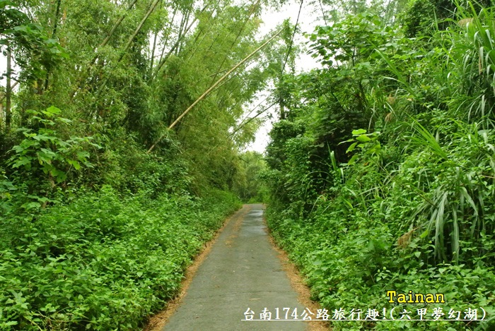 174公路旅行26