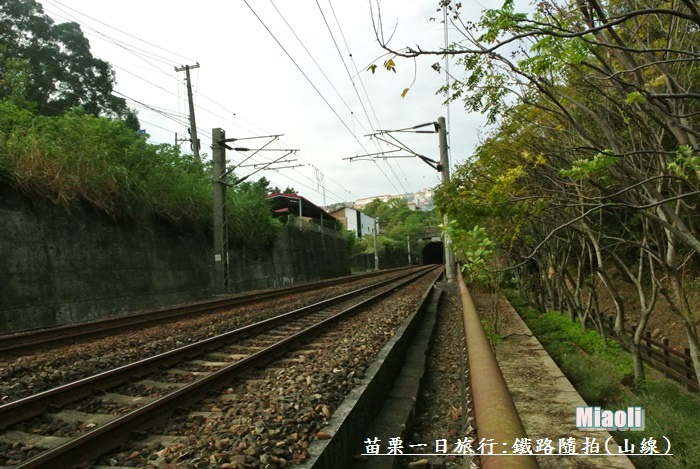 苗栗一日旅行10