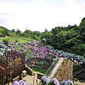 20180609_180609_0014.jpg