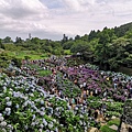 20180609_180609_0016.jpg