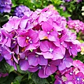 20180609_180609_0027.jpg