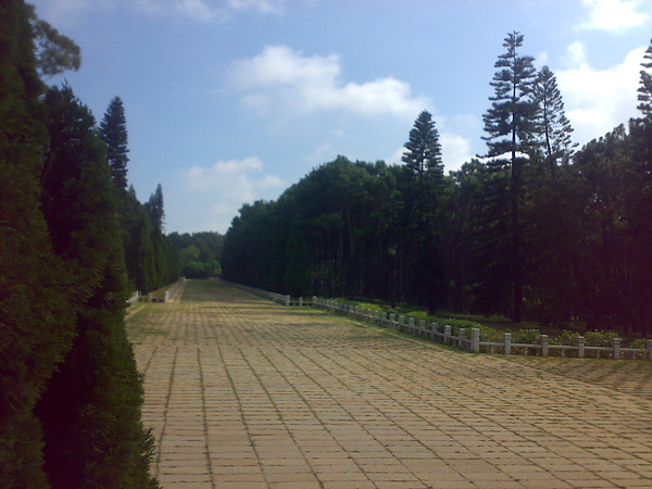 20100731394.jpg