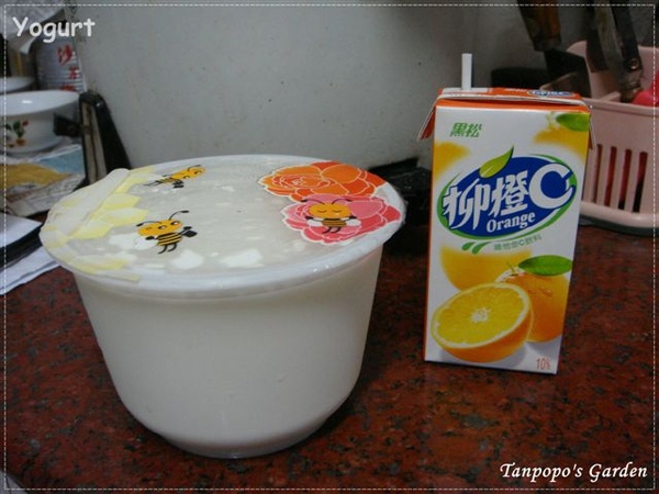 yogurt01.JPG