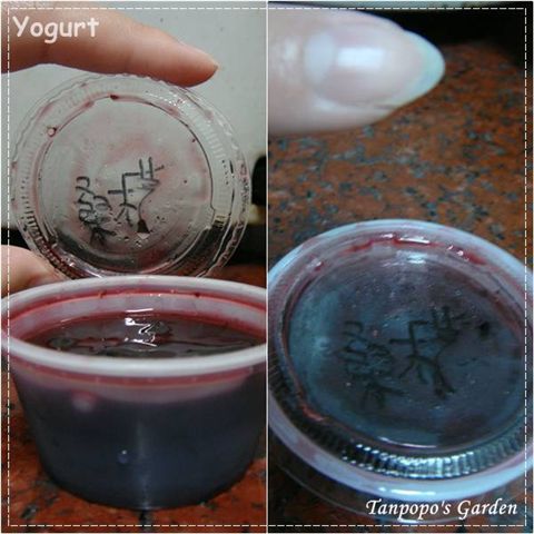 yogurt05.jpg