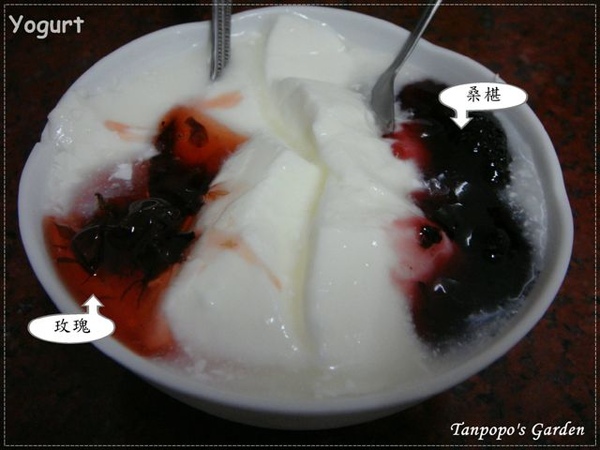 yogurt12.JPG