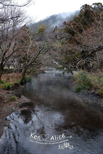 102.02金鱗湖、湯之坪02