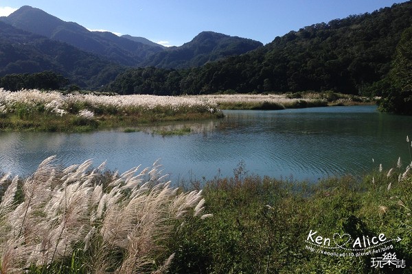 103.11烏來_摩兒咖啡館10.jpg