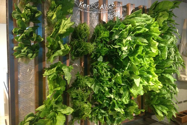 104.08蔬河Vege Creek01.jpg 104.08蔬河Vege Creek01.jpg