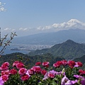 105.04東京旅遊_長岡葛城山纜車09.jpg