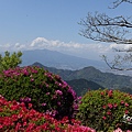 105.04東京旅遊_長岡葛城山纜車10.jpg