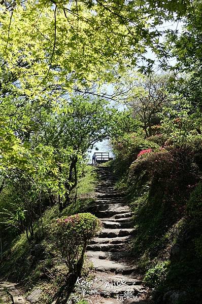 105.04東京旅遊_長岡葛城山纜車14.jpg