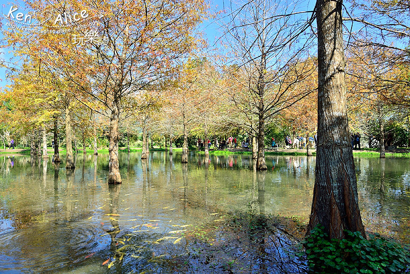 DSC_2303.JPG DSC_2303.JPG