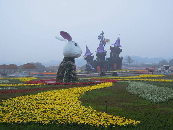 DSCN0511 DSCN0511