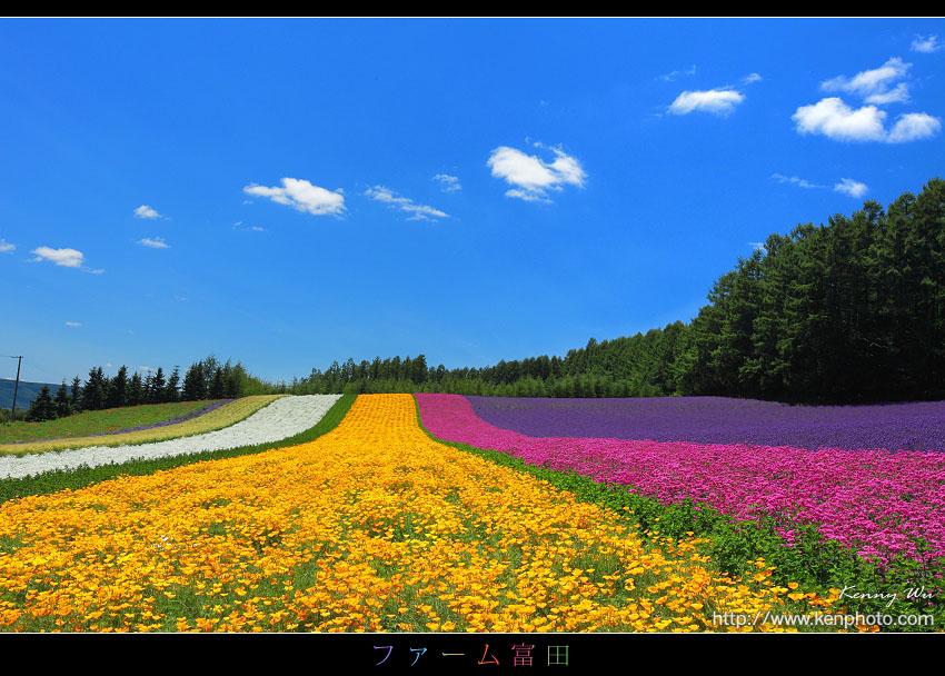 35 壁紙北海道風景