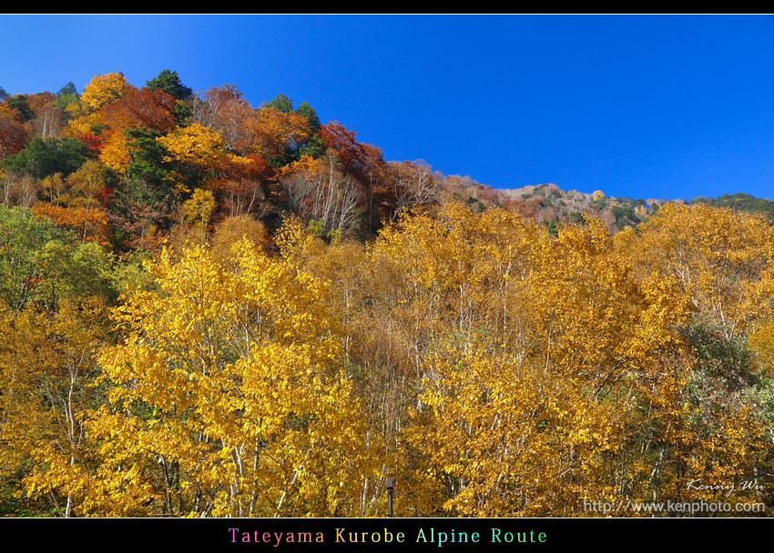 tka-sj01.jpg tka-sj01.jpg