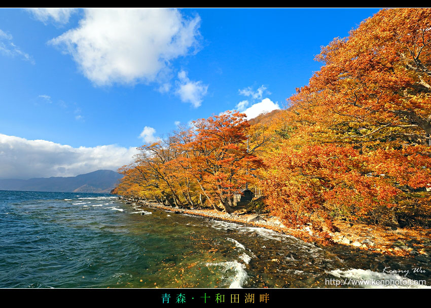 tela01.jpg tela01.jpg