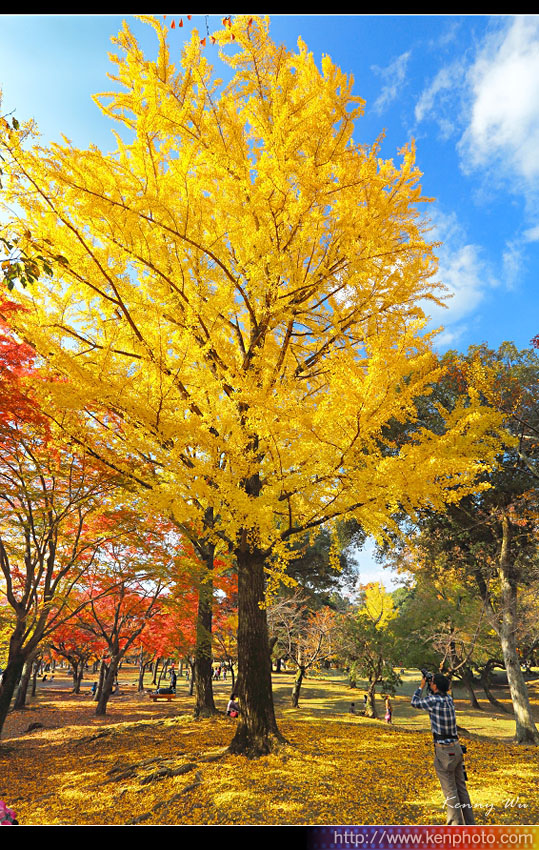 nara-pk07.jpg