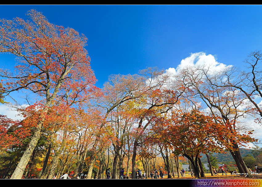 nara-pk08.jpg